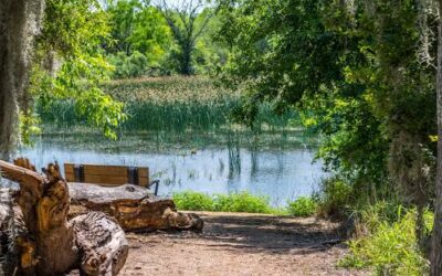 Santa Ana Wildlife Refuge