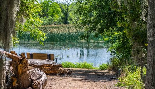 Santa Ana Wildlife Refuge